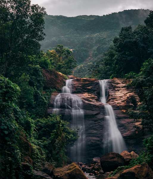 kerala-yoga-and-ayurveda-tour