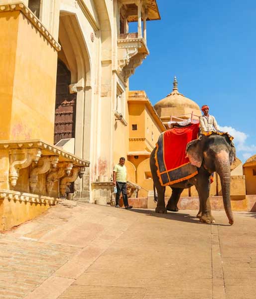 rajasthan-tour-with-wildlife-safari